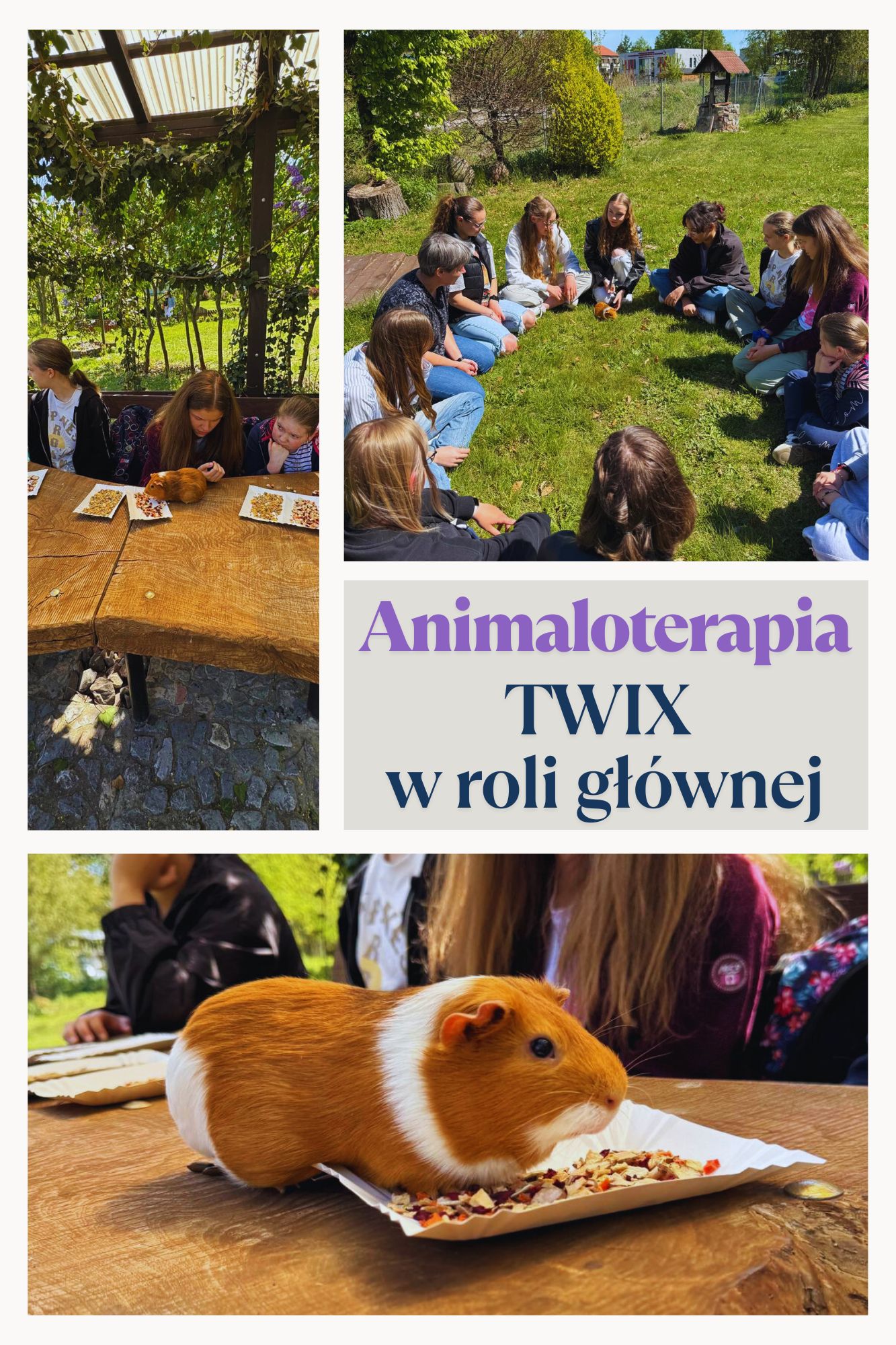 Behawiorystyka 30 kwietnia 1
