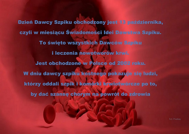 szpik 1