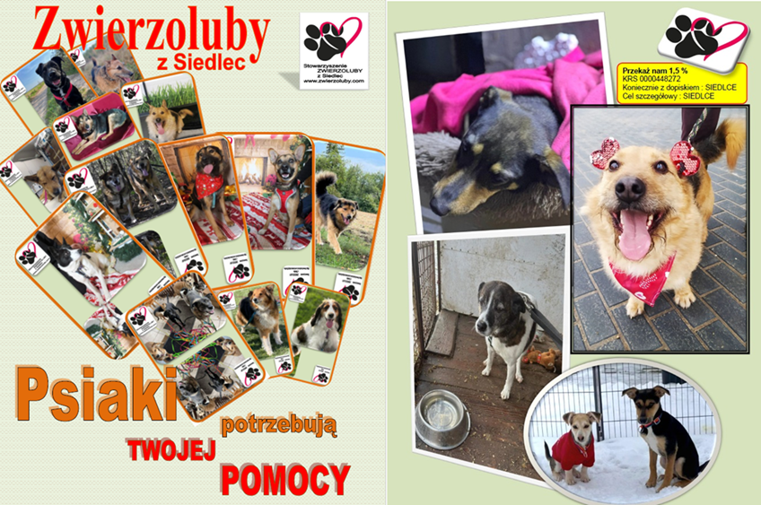 zwierzolubyy