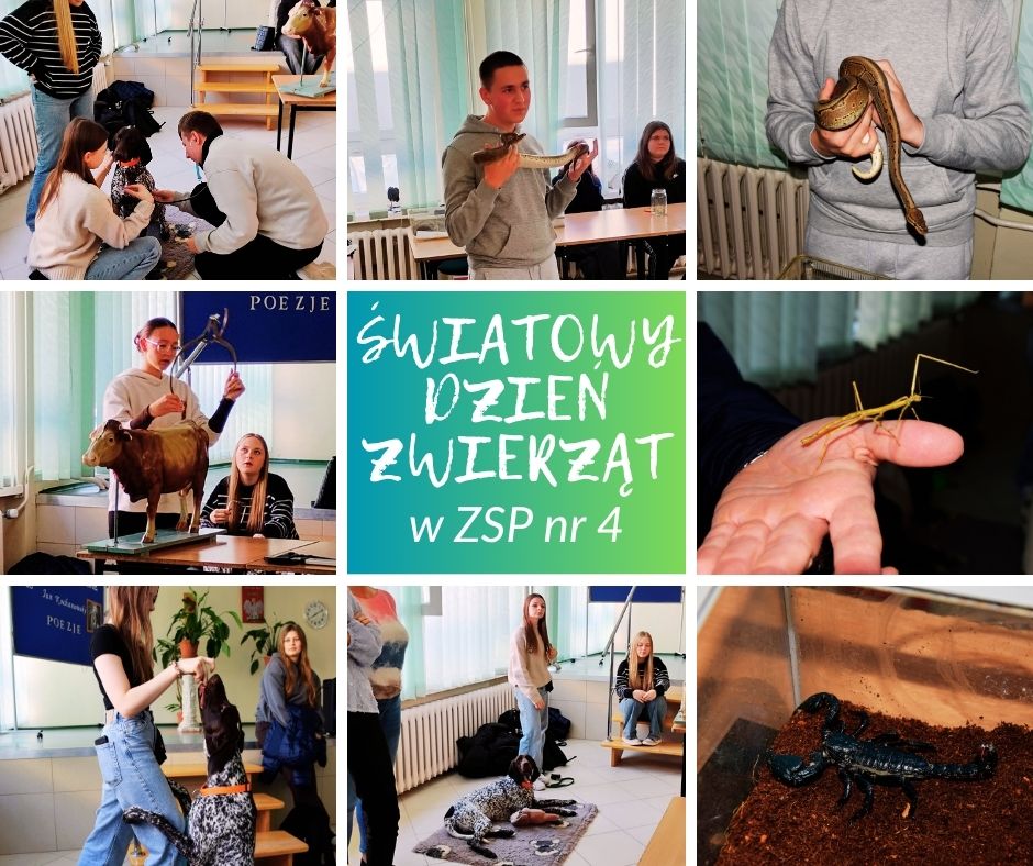 Światowy Dzień Zwierząt